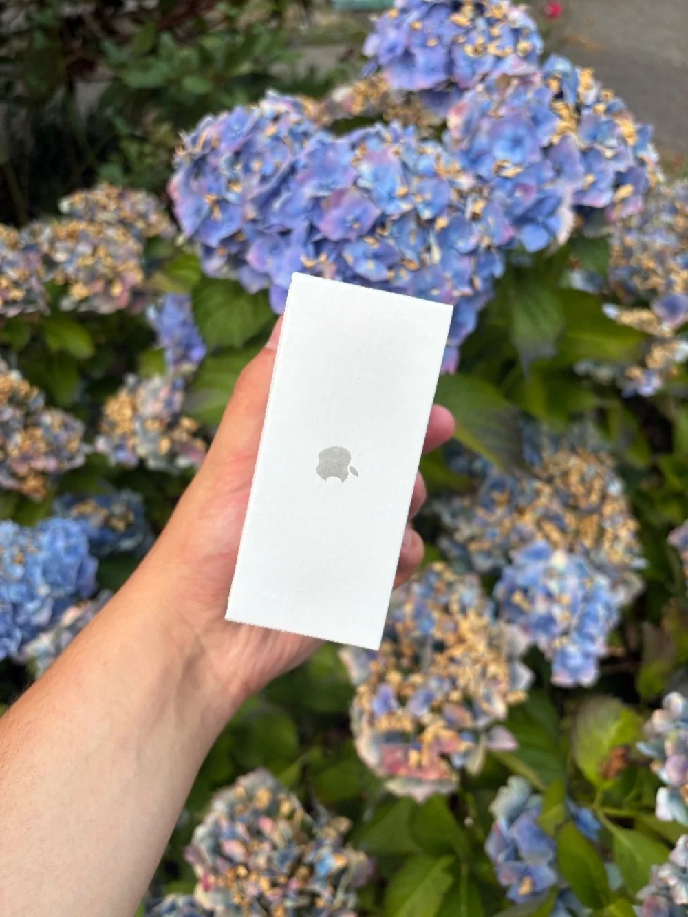 Apple AirPods Pro (2nd generation) With MagSafe Charging Case (USB-C)